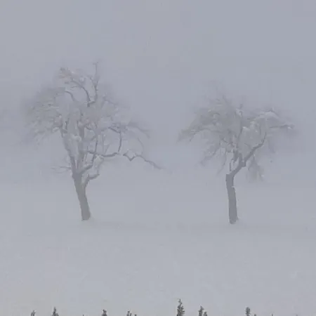 Daire Apartment-ferienwohnung 3 Am Ossiachersee *