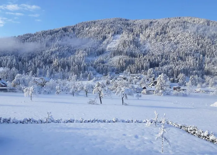 Apartment-ferienwohnung 3 Am Ossiachersee טרפן